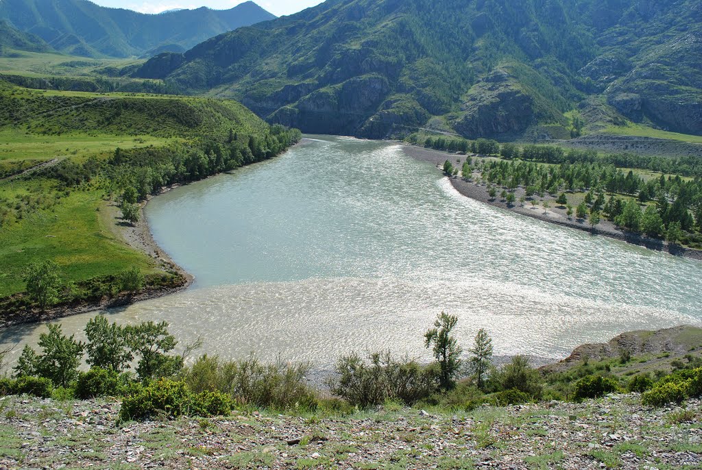 Река Катунь.jpg