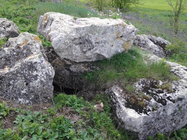 20160514_120546.jpg